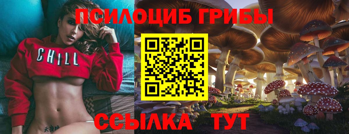 Псилоцибиновые грибы Psilocybine cubensis  Вход с VPN  Ханты-Мансийск 